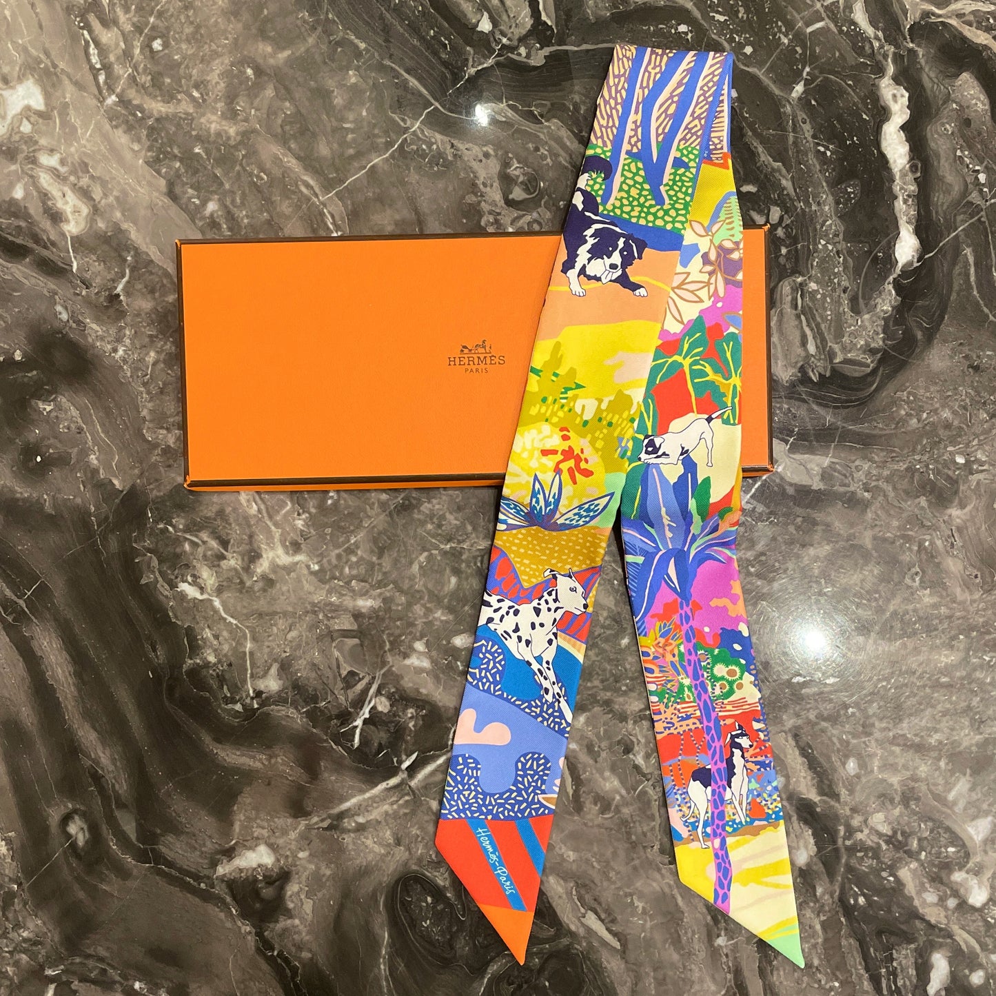 Hermès Silk Accessories - Scarf / Shawl / Twilly